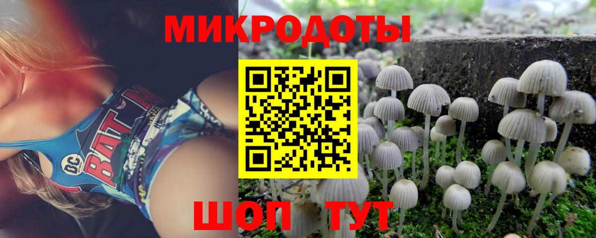 Галлюциногенные грибы мухоморы Пятигорск